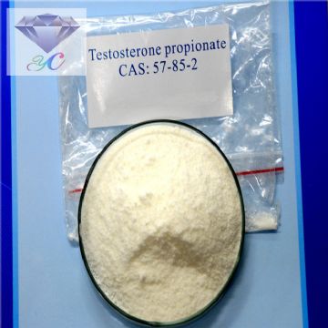 Testosterone Propionate China For Hair Loss Treatment Raw Powder Supplier